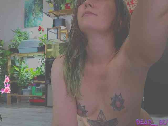 DeadButterfly Live Webcam on BongaCams DeadButterfly Live Webcam on BongaCams