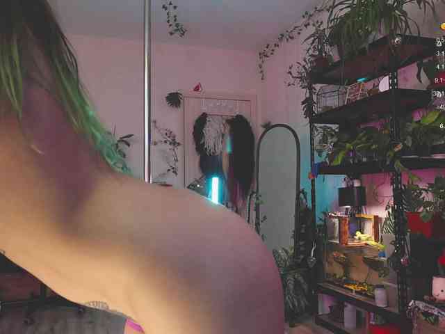 DeadButterfly DeadButterfly