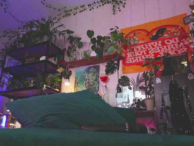 DeadButterfly DeadButterfly