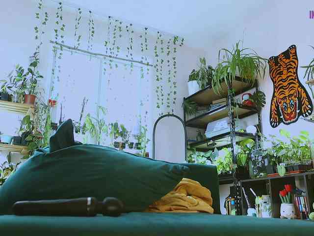 DeadButterfly Live Webcam on BongaCams