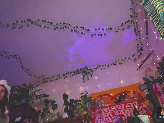 DeadButterfly DeadButterfly