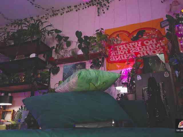 DeadButterfly DeadButterfly