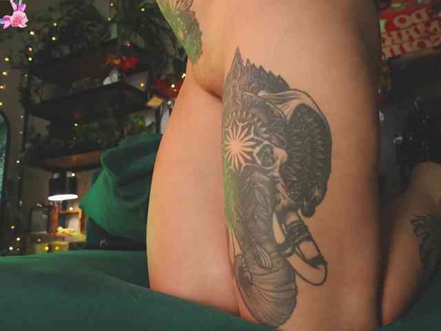 DeadButterfly DeadButterfly