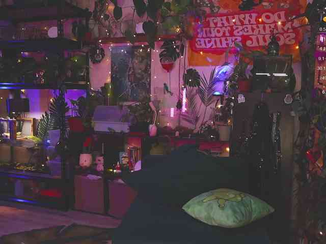 DeadButterfly DeadButterfly