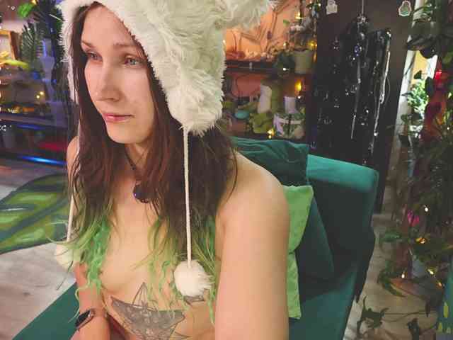 DeadButterfly DeadButterfly