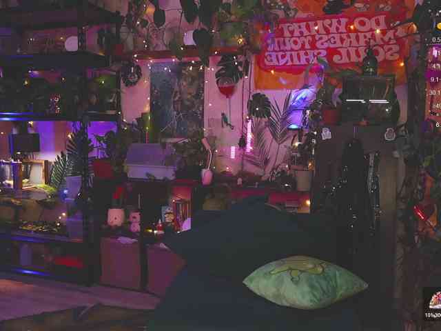 DeadButterfly DeadButterfly