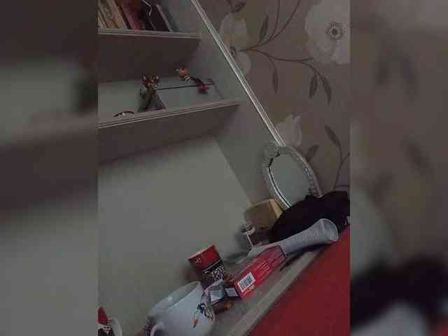 Funny331 webcam