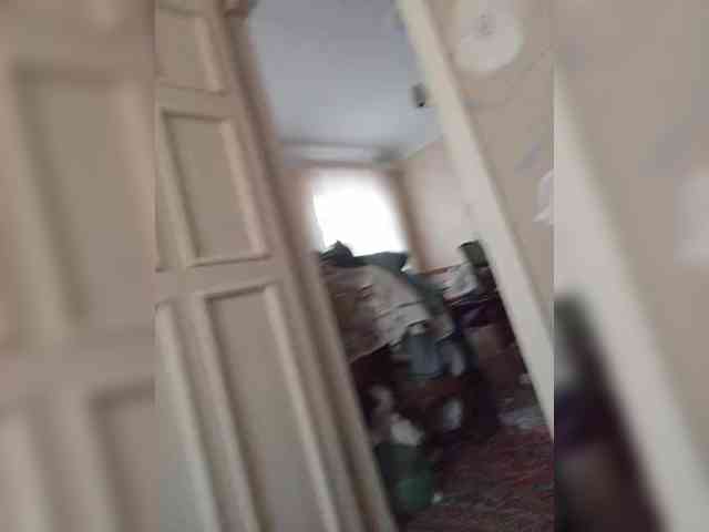 Funny331 webcam