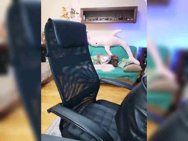 JuliaHesperaks webcam