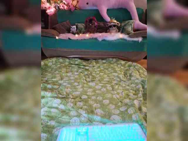 JuliaHesperaks webcam