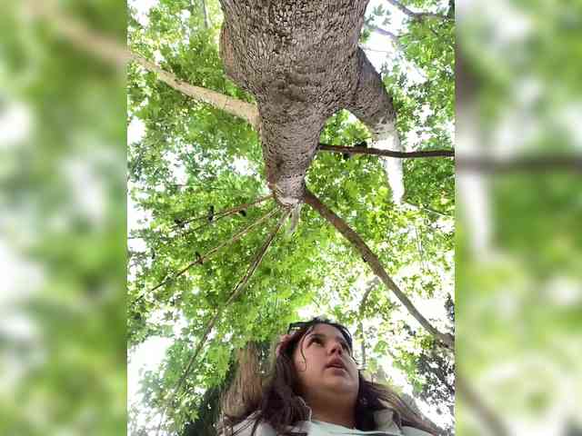 YulkaShpulka webcam