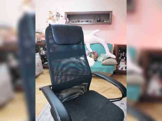 JuliaHesperaks webcam