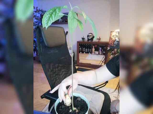 JuliaHesperaks webcam