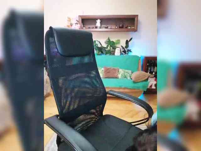 JuliaHesperaks webcam