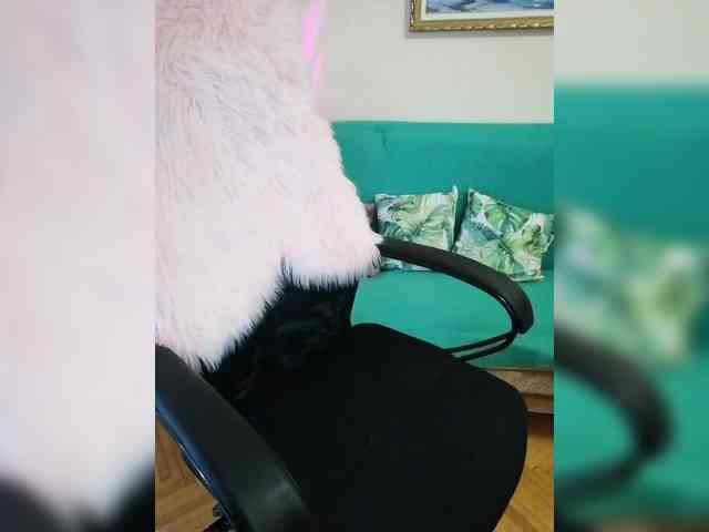YulkaShpulka webcam