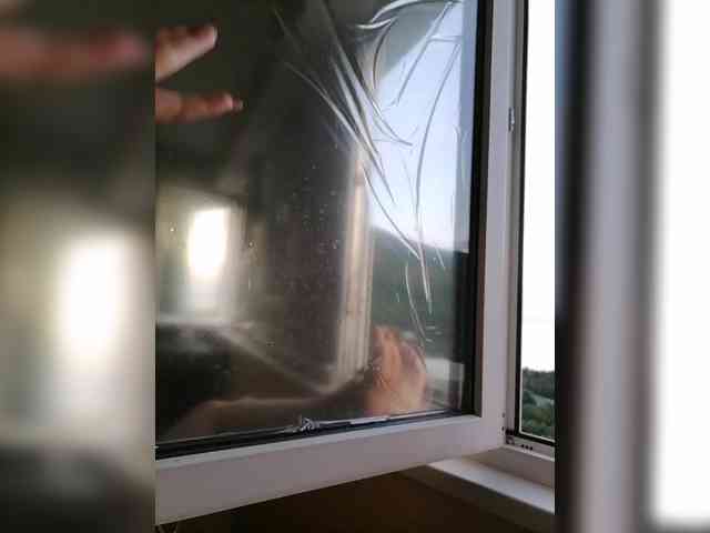YulkaShpulka webcam