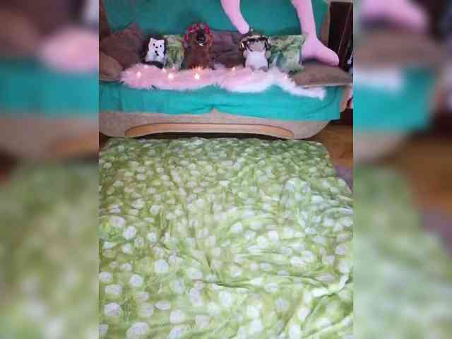 JuliaHesperaks webcam