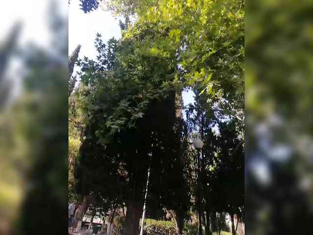 YulkaShpulka webcam