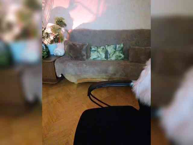 YulkaShpulka webcam