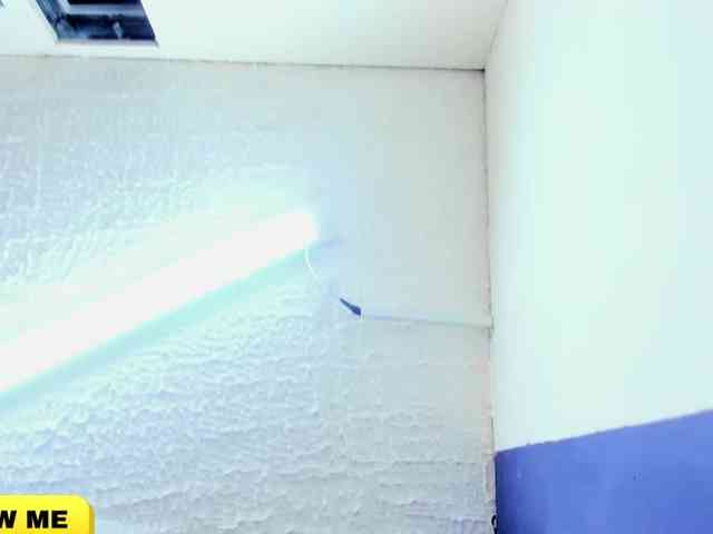 kimalissa webcam