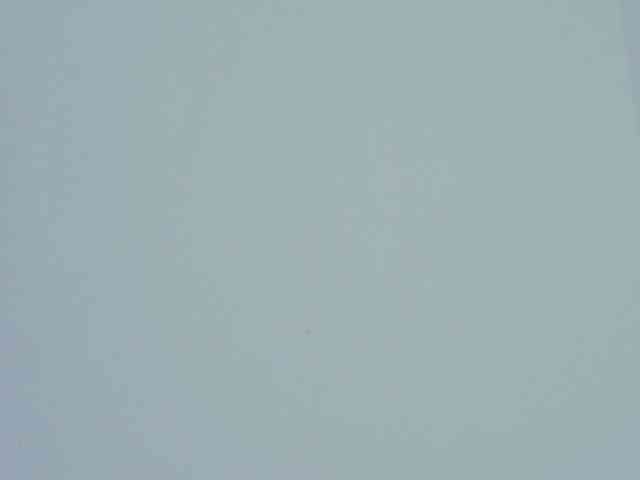 MariannaCortez webcam