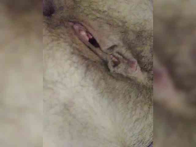 Marinet28 webcam