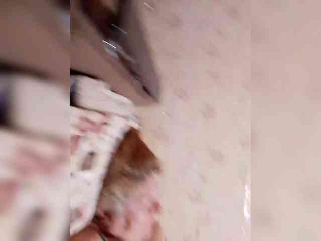 SweetSugar77 webcam