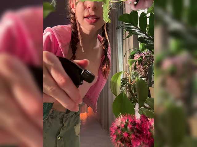 WednesdayFridayAddams