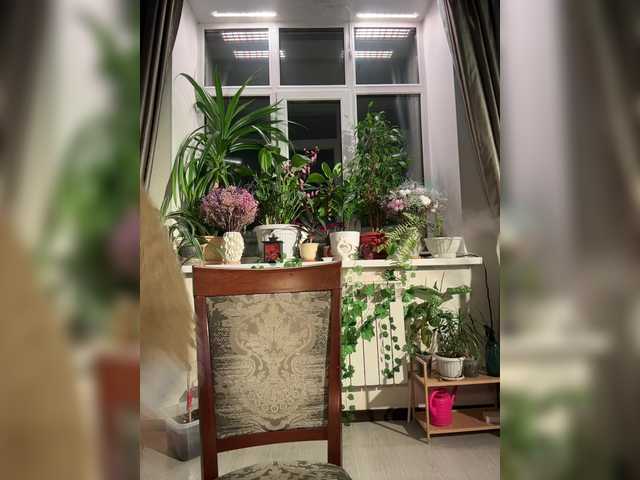 WednesdayFridayAddams