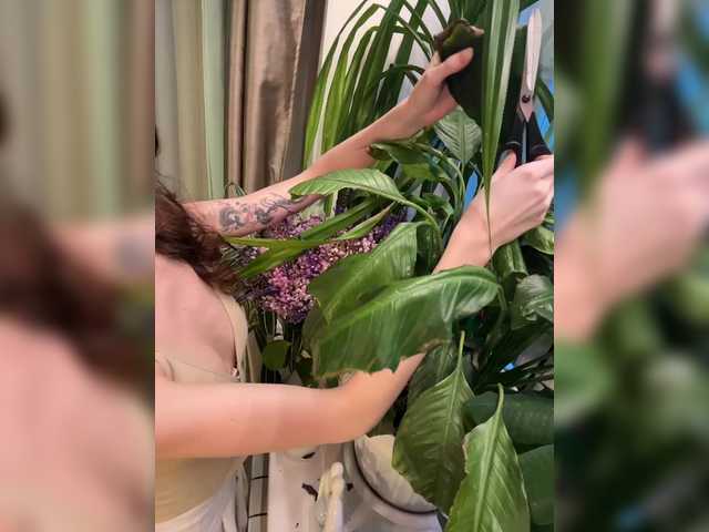 CutieDollBC's BongaCams profile