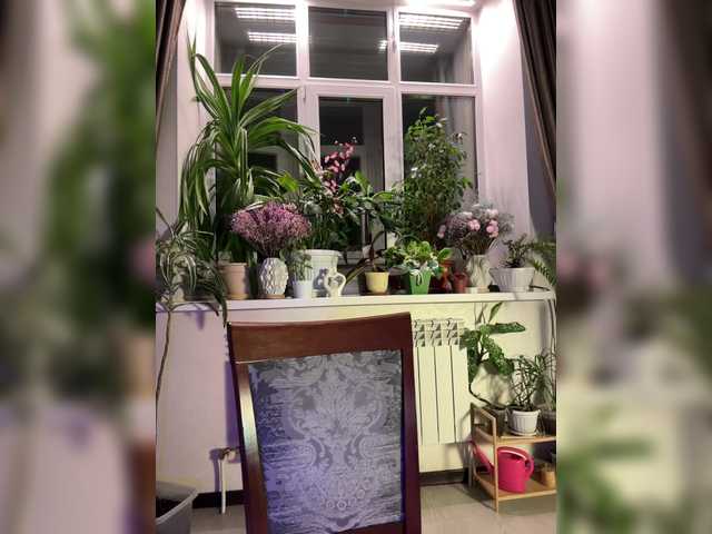 CutieDollBC's BongaCams show and profile