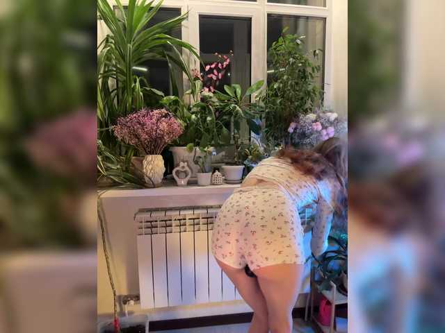 CutieDollBC's BongaCams show and profile