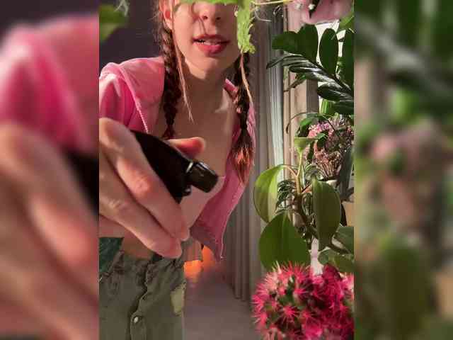 WednesdayFridayAddams webcam