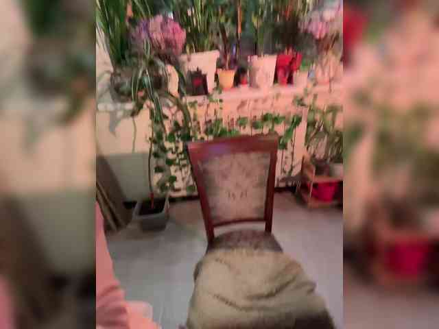 WednesdayFridayAddams webcam