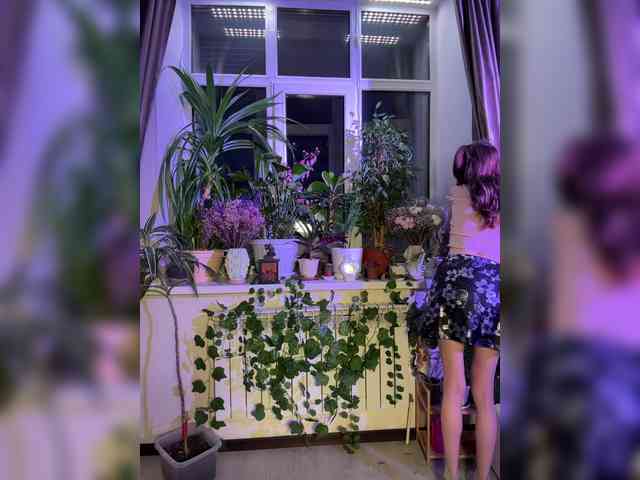 WednesdayFridayAddams webcam