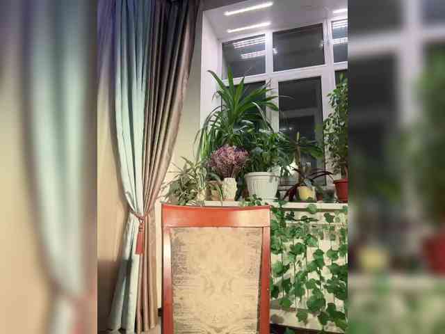 WednesdayFridayAddams webcam