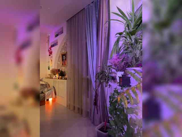 WednesdayFridayAddams webcam