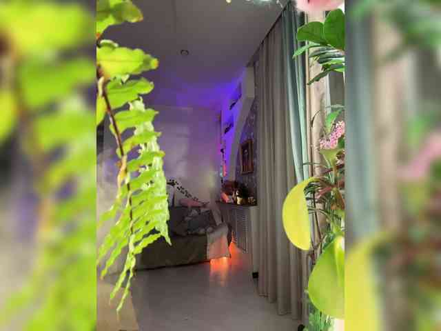 WednesdayFridayAddams webcam