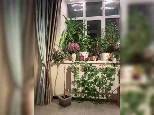 WednesdayFridayAddams webcam