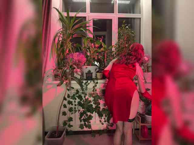 WednesdayFridayAddams webcam