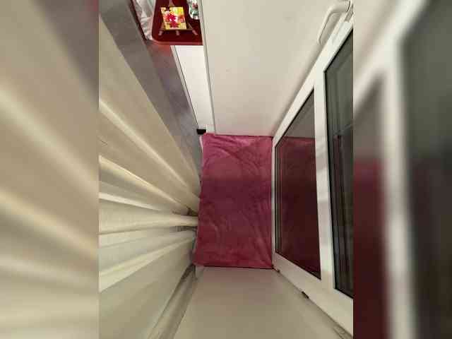 WednesdayFridayAddams webcam