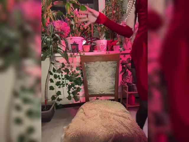 WednesdayFridayAddams webcam