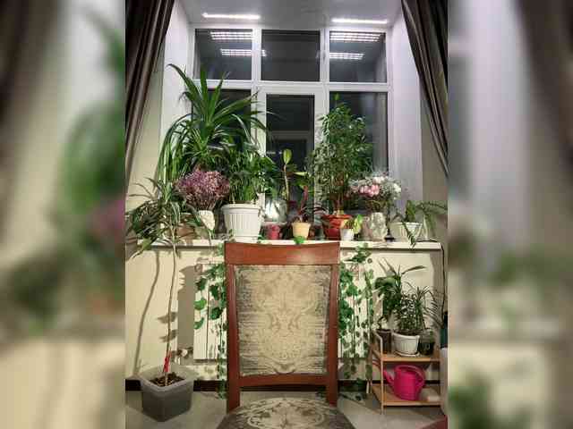 WednesdayFridayAddams