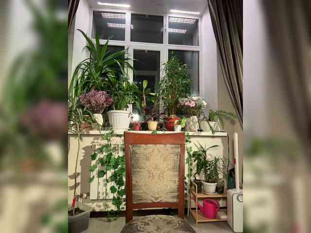 WednesdayFridayAddams