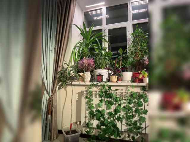 WednesdayFridayAddams