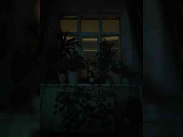 WednesdayFridayAddams webcam