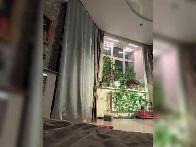 WednesdayFridayAddams webcam