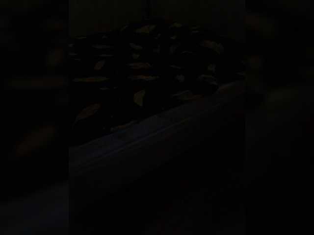 Lyda27081 from BongaCams