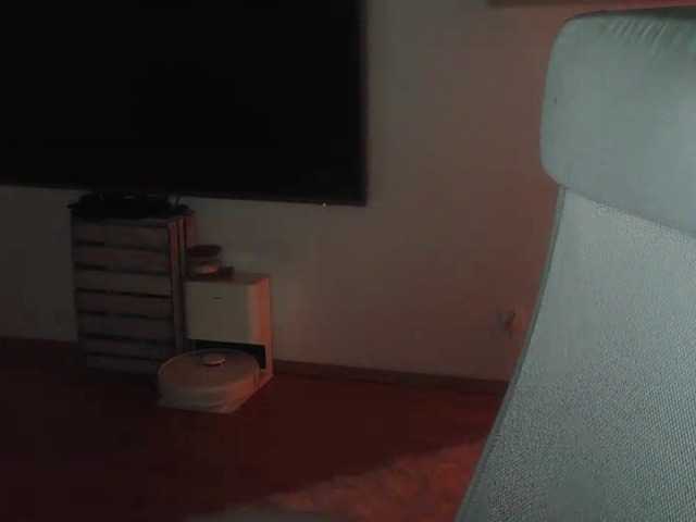 Preview of ariamodel