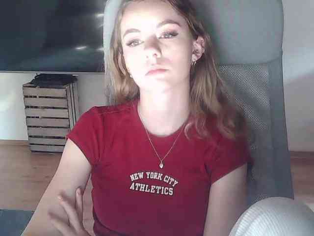 AriaModel webcam
